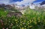 meadow, alpes, mountain, hohe tauern, national park, austria,, Austria, photo