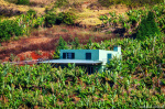 hut, cabin, banana, joe, mountains, flowers, field, house, madeira, 2024, Portugal, photo