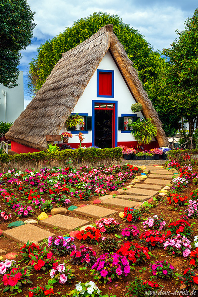 house, flowers, santana, path, old, tradition, madeira, 2024, photo