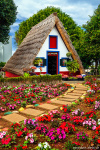 house, flowers, santana, path, old, tradition, madeira, 2024, Portugal, photo