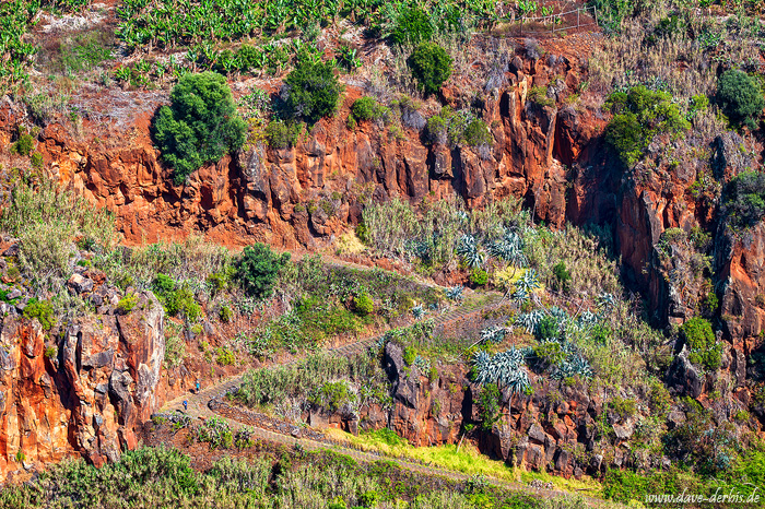 person, hiking, trail, path, mountains, road, wander, madeira, 2024, photo