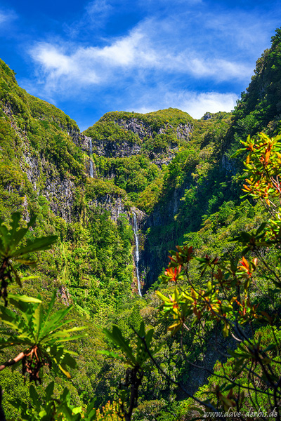 waterfall, falls, jungle, mountains, valley, forest, stream, cascade, madeira, 2024, photo