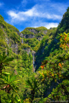 waterfall, falls, jungle, mountains, valley, forest, stream, cascade, madeira, 2024, Portugal, photo