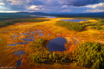 aerial, drone, wilderness, autumn, forest, woods, lake, light, storm, sweden, 2024, Best Landscape Photos of 2024, photo