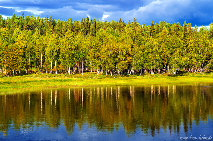 lapland, forest, water, lake, reflection, tree, sweden, autumn, 2024, photo