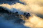 fog, sunset, mountains, trees, forest, mystical, magical, madeira, 2024, Portugal, photo