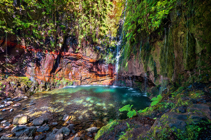 waterfall, falls, jungle, mountains, valley, forest, lake, madeira, 2024, photo