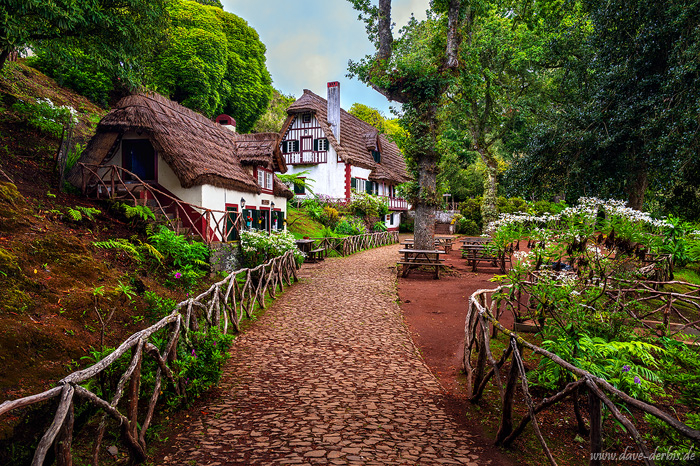 house, path, parc, forest, mystical, magical, fairytale, madeira, 2024, photo