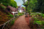 house, path, parc, forest, mystical, magical, fairytale, madeira, 2024, Portugal, photo