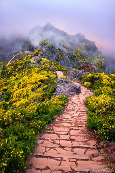 sunset, mountains, path, trail, clouds, fog, moody, flowers, peak, madeira, 2024, photo