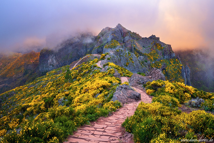 sunset, mountains, path, trail, clouds, fog, moody, flowers, peak, madeira, 2024, photo