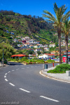 mountains, palm, street, roadshot, coast, tree, madeira, 2024, Portugal, photo