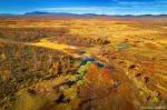 aerial, drone, autumn, taiga, forest, woods, wilderness, arctic, sweden, 2024, Best Landscape Photos of 2024, photo